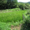 회원동201 이미지