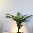 티쏘커피(TSO COFFEE) 이미지