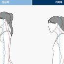 헬스 바디 라인업 이미지