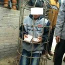 돼지우리 이미지