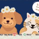 화순 하니움문화스포츠센터 회랑 이미지