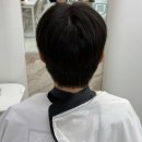 조양래 동물병원 미용실 | 가락동미용실 [나만의헤어샵] 태극원장님 섀도우펌 | 커트 만족후기