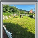 고양이 생활 호텔 이미지