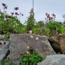 훈 농장 이미지