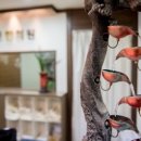 보현한의원 이미지