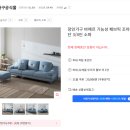 펫마트 중리점 | 2024년 5월 일상모음 _ 새로운 집으로 이사 (말많음 주의)