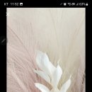 온니.유네일 이미지
