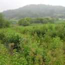 제언농장 이미지