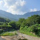 오동1교 이미지