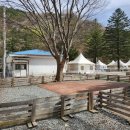 미산 | 상남면 캠핑장 중 반려견 동반에 최적인 곳은? 미산분교 캠핑장 솔직 후기