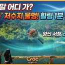 서창상사