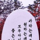 장곡농협하나로마트 이미지