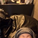 서현애견미용실 | 애견동반 서현역 미용실 - 어반트랜드 무민 디자이너 클리닉 후기