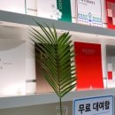 맘스터치위례창곡점 이미지