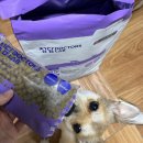 (주)닥터스랩 네이버블로그