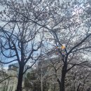 이비가(영통점) 이미지