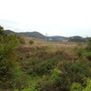 답내1리  마을회관 이미지