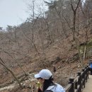 북한산 | 260329 우이코스 북한산 등산 후기!