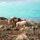 제이원하우스 이미지