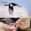 까치주유소 이미지