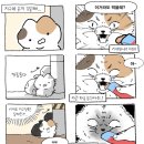 마당스낵 이미지