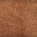 파동헬스 이미지