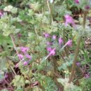 수잔나어린이집 이미지