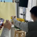 청주 강아지사진 잘 찍는 곳 애플주니스튜디오 강아지 프로필 사진 후기