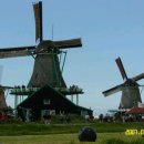 풍차마을 민박 이미지