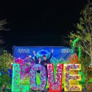 코지하우스 앤 투어 | [일상|데이트]/남친이랑 제주데이트🍊|제주 맛집,제주 명소,제주 가볼만한 곳 추천