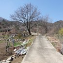 가람부동산중개 이미지