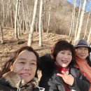 오성문화 이미지