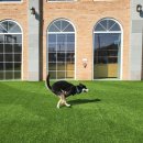 불리빌로우코리아센터 이미지