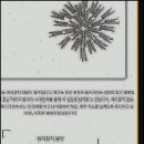 치아살리기 드림365치과의원 이미지