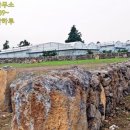 서광리-14 이미지