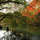 나훈아노래방 이미지