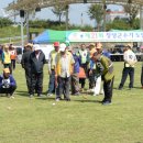 게이트볼 이미지