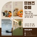 도그프렌즈 이미지