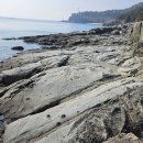 투어지오 이미지