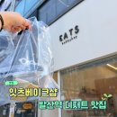 잇츠베이크 | 🍰 발산역 디저트 맛집 '잇츠베이크샵' 내돈내산 후기 🐣 빵지순례 중 인생 치즈케이크를 만나다. [바닐라...