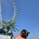 아이와 함께하는 동화여행 | 속초 아이와 함께하는 여행 _ 회밀리가떴다 내돈내산 후기