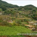 음정마을 이미지