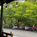 산내면 덕동마을 이미지