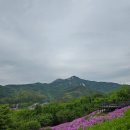 당고개공원앞 이미지