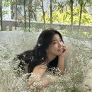 이수진헤어 - 북구 | [웨딩] 촬영 헤어변형 윤쌀롱 이수진부원장님 추천 후기