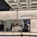 영광세탁소 | 무이블랙 캐시미어 코트 내돈내산 후기 오프라인 매장