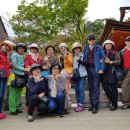 용두초교 이미지