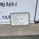 쉐반스 김보경 머리염색 | 4월이라는 이름의 위로