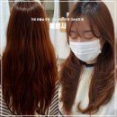 거제 미용실 추천 메르시 수월 레이어드컷 극손상모 펌 후기