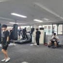 팀건복싱 이미지